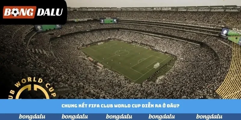 Chung kết FIFA Club World Cup diễn ra ở đâu? Tìm kiếm câu trả lời Chung kết FIFA Club World Cup diễn ra ở đâu? Tìm kiếm câu trả lời