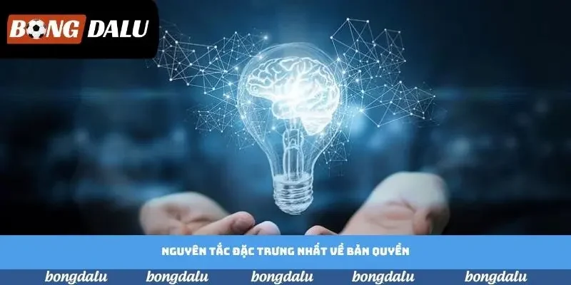 Nguyên tắc đặc trưng nhất về bản quyền