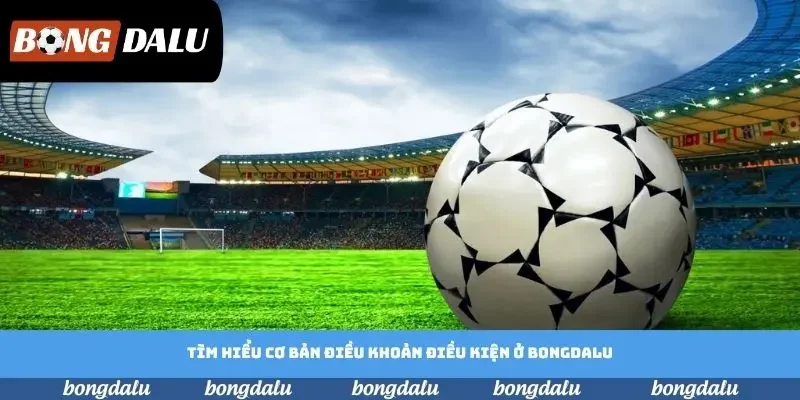 Tìm hiểu cơ bản điều khoản điều kiện ở Bongdalu