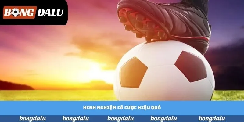 Kinh nghiệm được tuyển chọn giúp người chơi dễ dàng clear kèo Kinh nghiệm được tuyển chọn giúp người chơi dễ dàng clear kèo