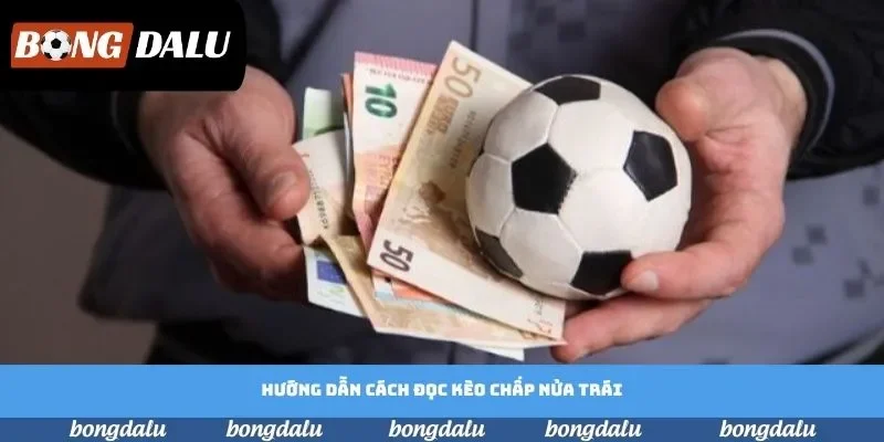 Hướng dẫn cách đọc kèo chấp nửa trái đơn giản Hướng dẫn cách đọc kèo chấp nửa trái đơn giản