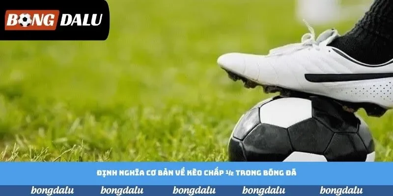 Định nghĩa cơ bản cần biết về kèo chấp 1/2 Định nghĩa cơ bản cần biết về kèo chấp 1/2