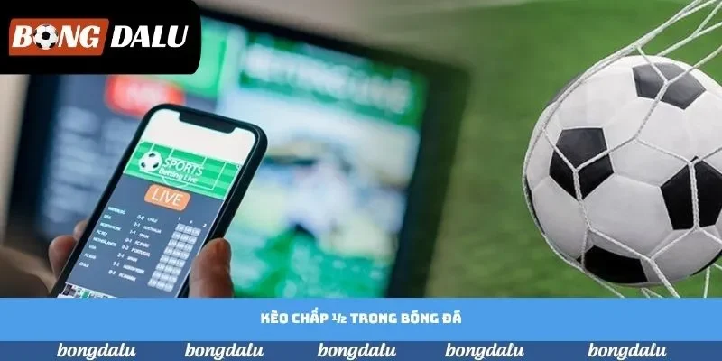 Kèo Chấp 1/2 Trong Bóng Đá | Chia Sẻ Bài Học Chiến Thắng