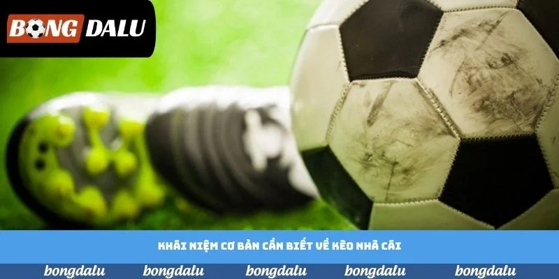 Khái niệm cơ bản cần biết về kèo nhà cái bóng đá Khái niệm cơ bản cần biết về kèo nhà cái bóng đá