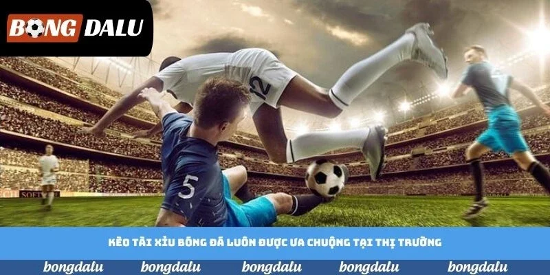 Kèo nhà cái tài xỉu được ưa chuộng khá nhiều tại thị trường Việt Kèo nhà cái tài xỉu được ưa chuộng khá nhiều tại thị trường Việt