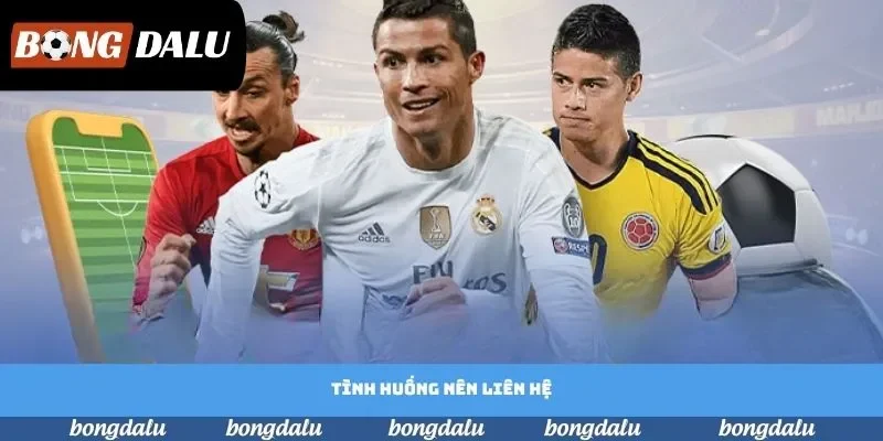 Tình huống nên liên hệ