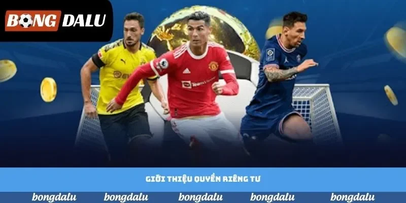 Giới thiệu quyền riêng tư