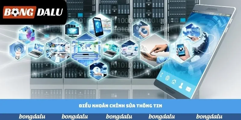 Điều khoản chỉnh sửa thông tin