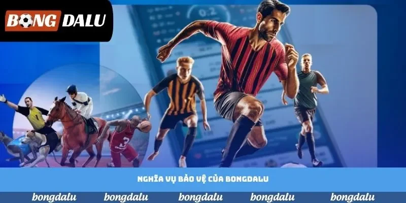 Nghĩa vụ bảo vệ của Bongdalu