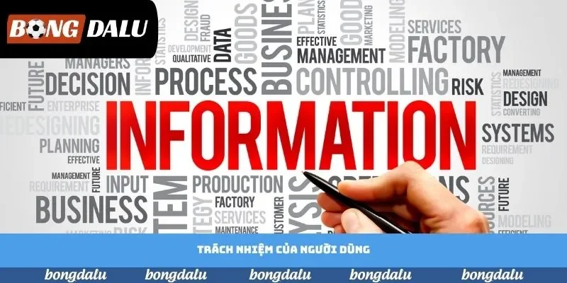 Trách nhiệm của người dùng