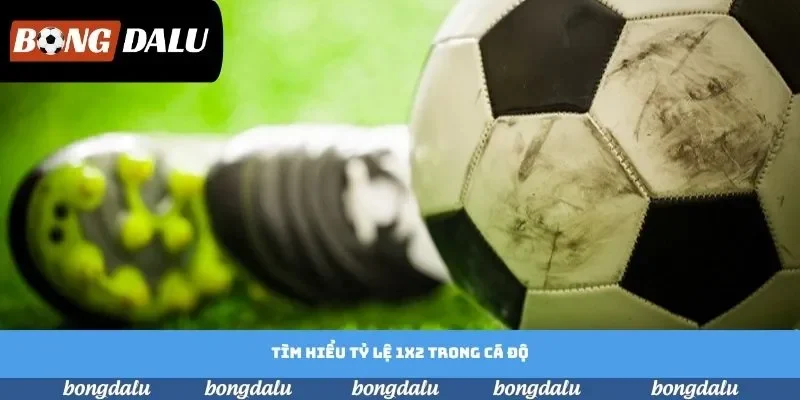 Tìm hiểu tỷ lệ 1x2 trong cá độ Tìm hiểu tỷ lệ 1x2 trong cá độ