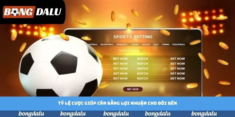 Tỷ lệ cược giúp cân bằng lợi nhuận cho đôi bên Tỷ lệ cược giúp cân bằng lợi nhuận cho đôi bên