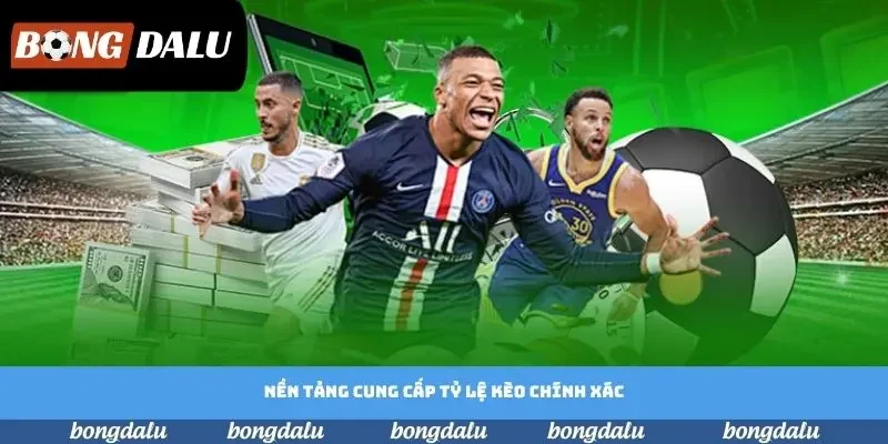 Nền tảng cung cấp tỷ lệ kèo chính xác Nền tảng cung cấp tỷ lệ kèo chính xác